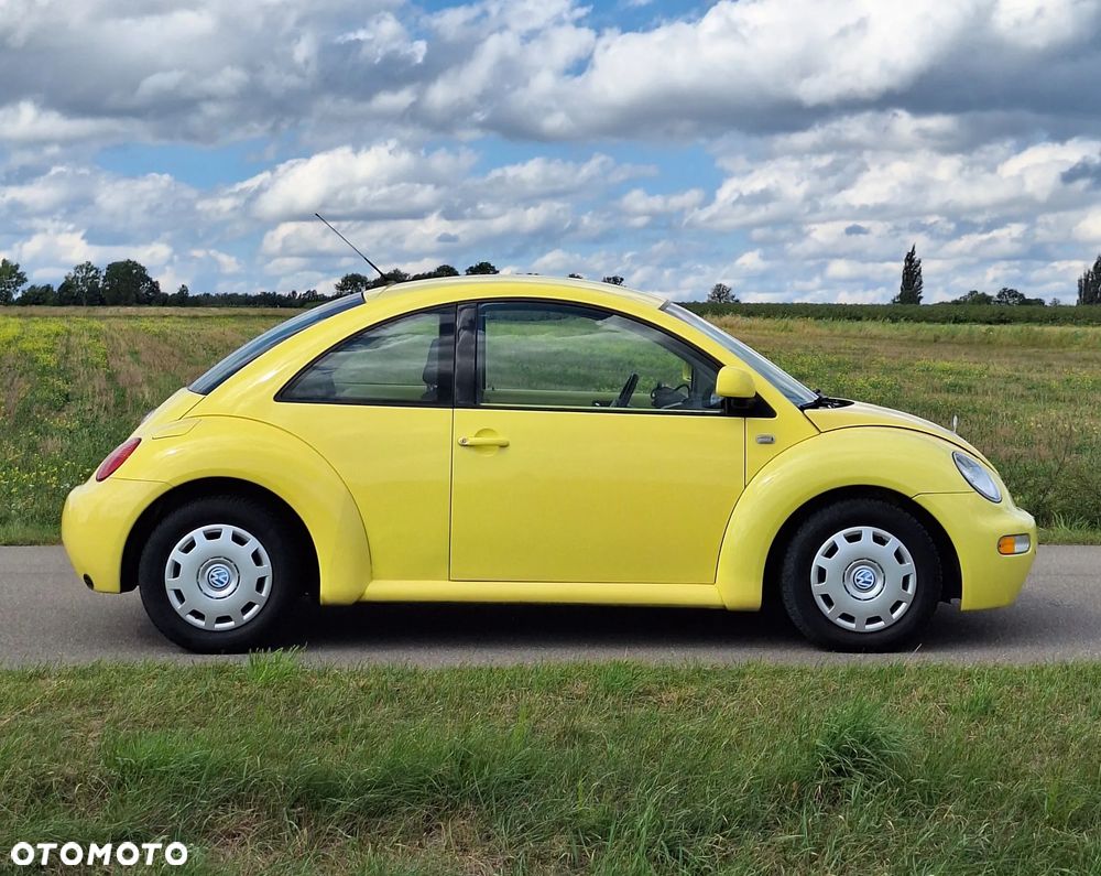 Volkswagen Beetle - 7