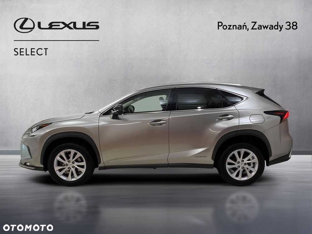 Lexus NX 300h F Impression AWD - 7