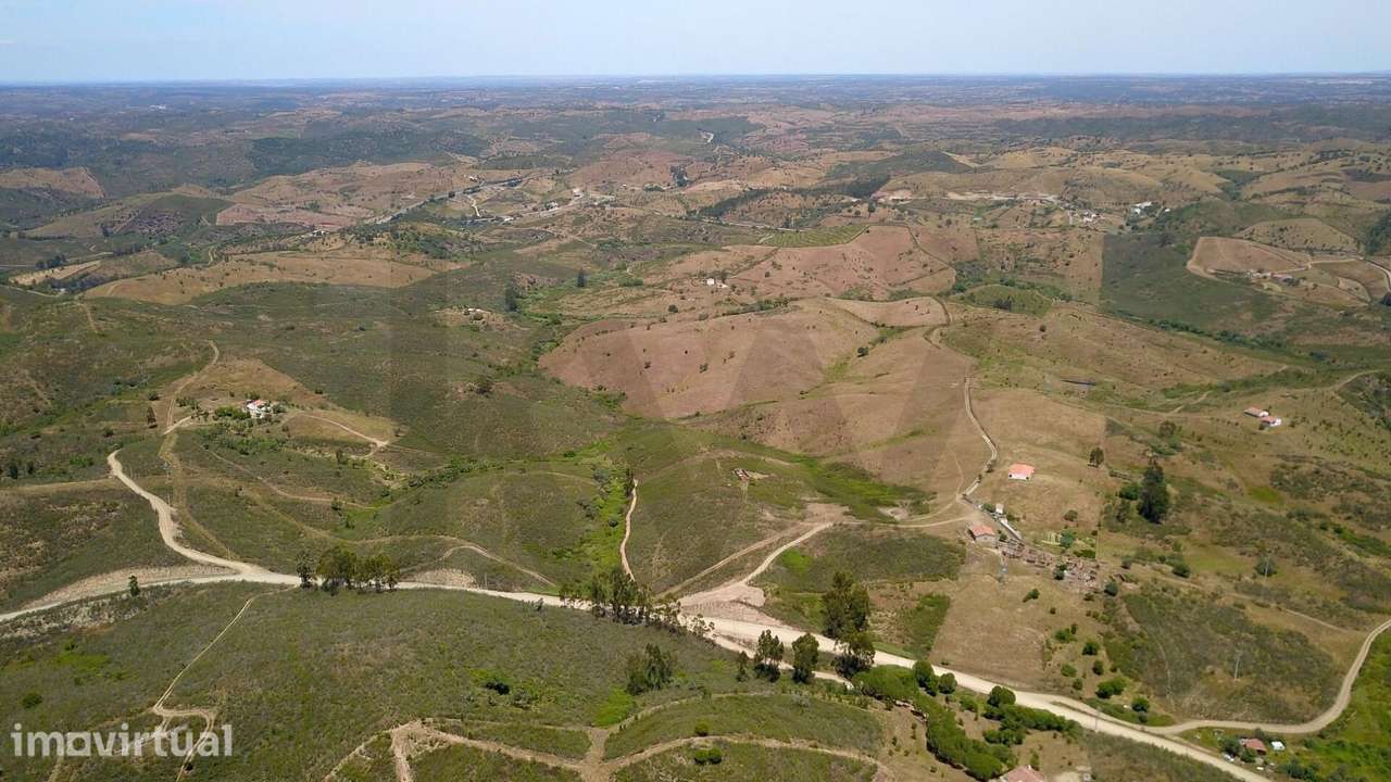 Terreno Rústico com 9,1 Hectares em Santana da Serra - Óptimo para pro - Grande imagem: 4/6