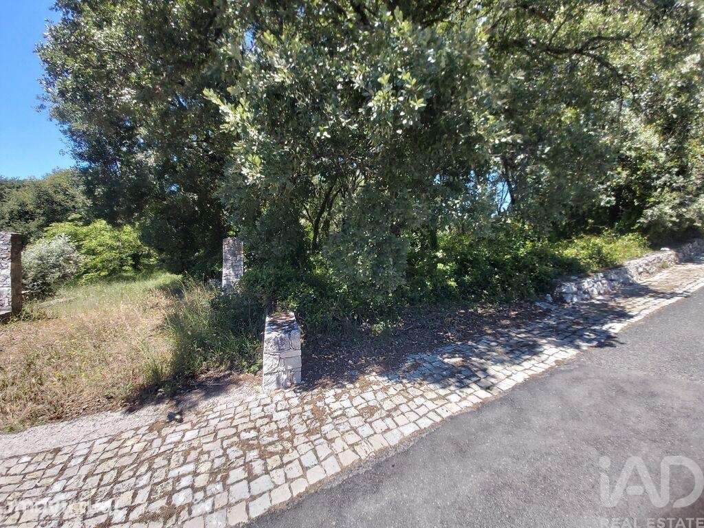 Terreno misto em Alvados e Alcaria - Grande imagem: 2/5