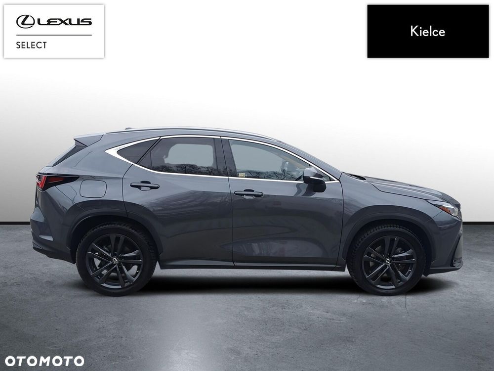 Lexus NX - 6