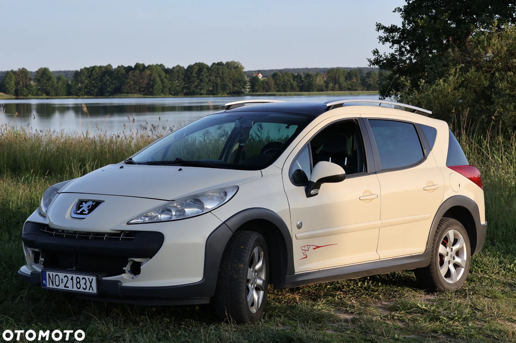 Peugeot 207 Outdoor 1.6 HDi - 22