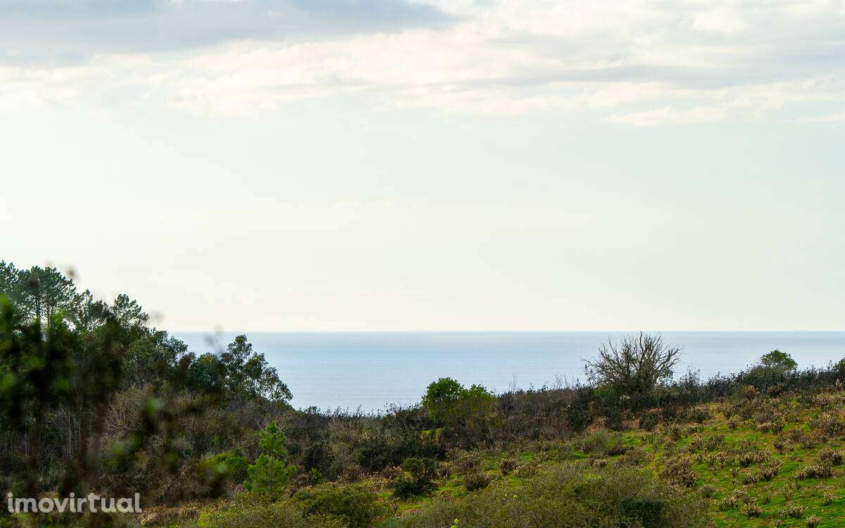 Quintinha Alfambras com vista mar - Grande imagem: 2/10