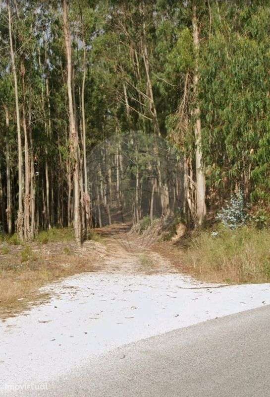 Terreno  para venda - Grande imagem: 3/3