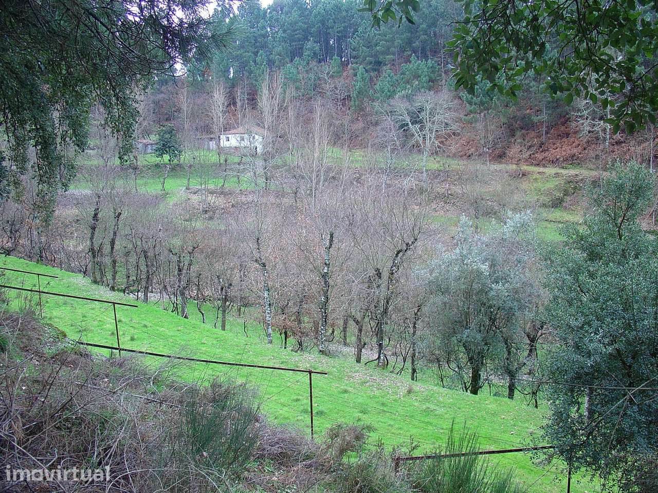 TERRENO COM RUINA LUGAR DE MOGAS - Grande imagem: 4/22