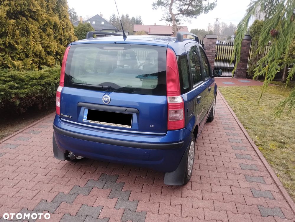Fiat Panda - 2