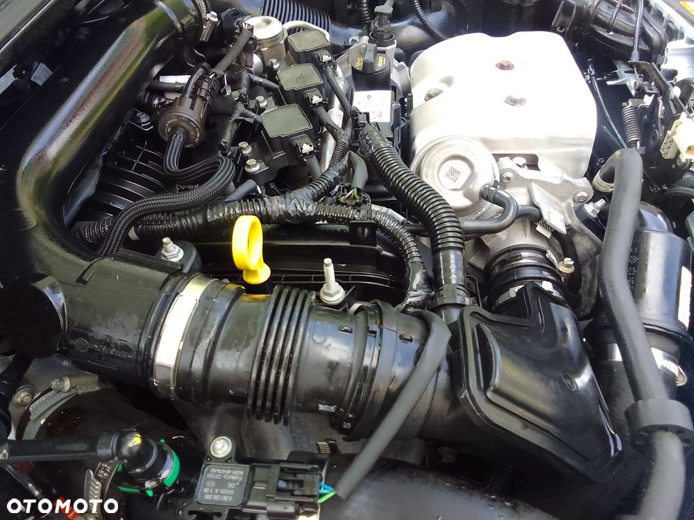 Ford Focus - 17