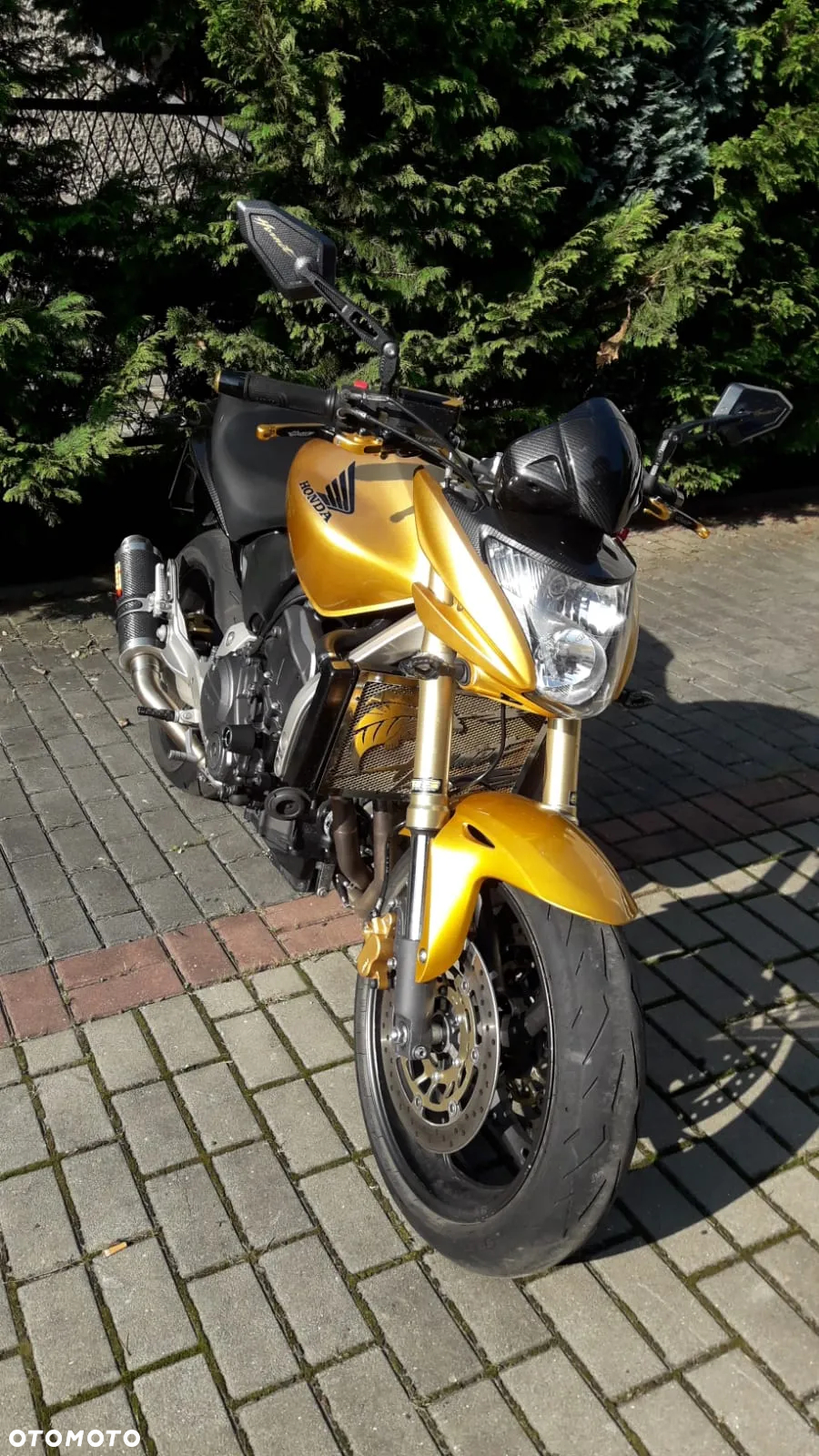 Honda Hornet - 9