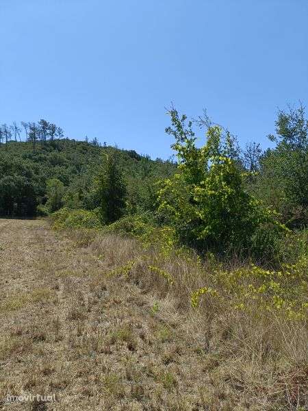 Terreno agrícola com 4400m2, em área RAN - Grande imagem: 2/8