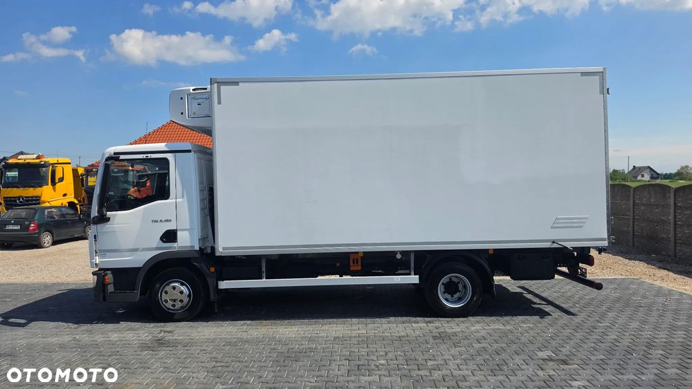 MAN TGL 8.190 Chłodnia 520cm Carrier 850 DMC-8800kg 70C 72C Daily - 9