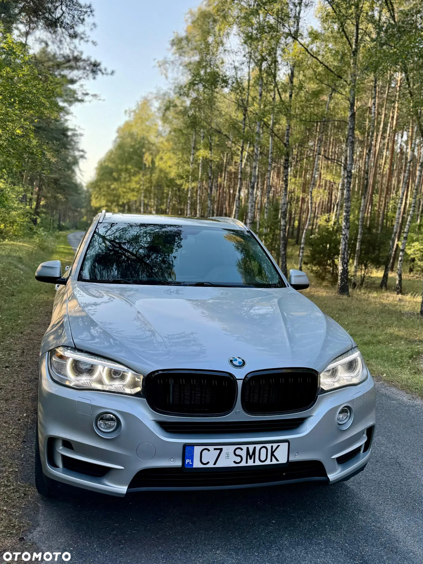 BMW X5 xDrive50i - 16