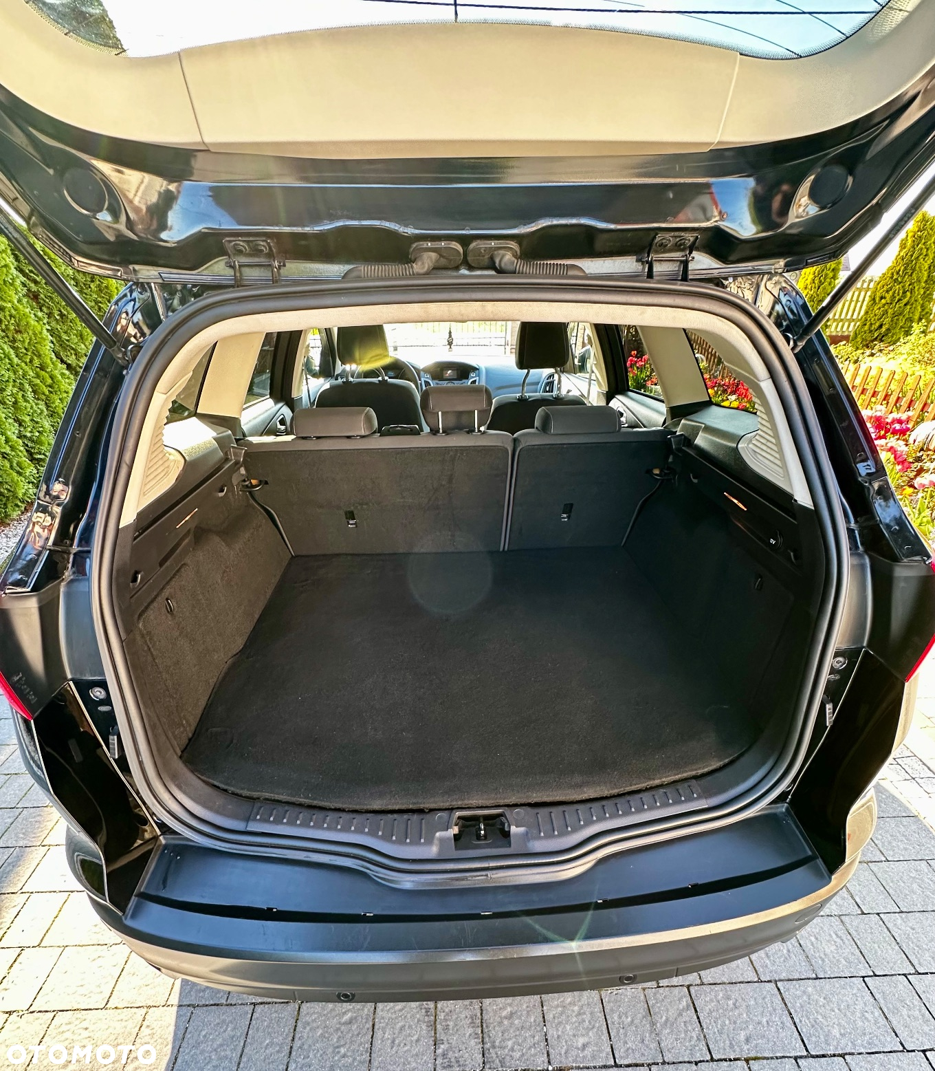 Ford Focus - 8