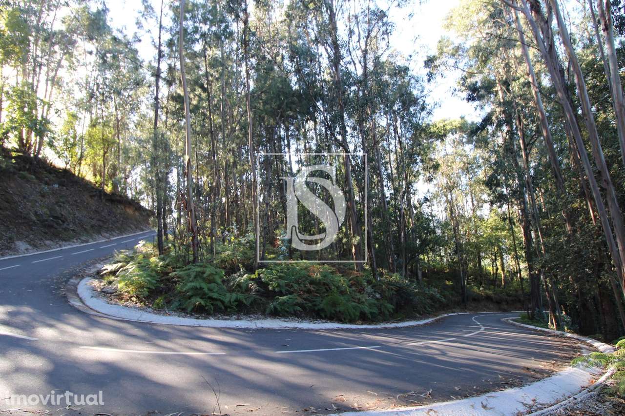 Terreno  Venda em Rebordelo,Amarante - Grande imagem: 2/5