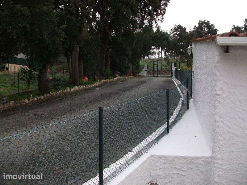 T0 Mobilado no Campo a !5 minutos de Lisboa p/ 1 pessoa sózinha - Grande imagem: 2/12