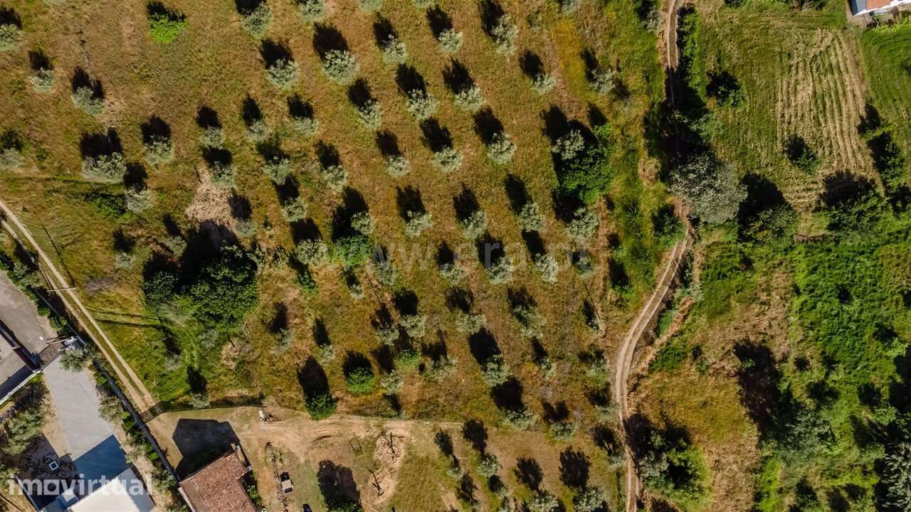 Terreno para Construção / Fundão, Fundão - Grande imagem: 4/9