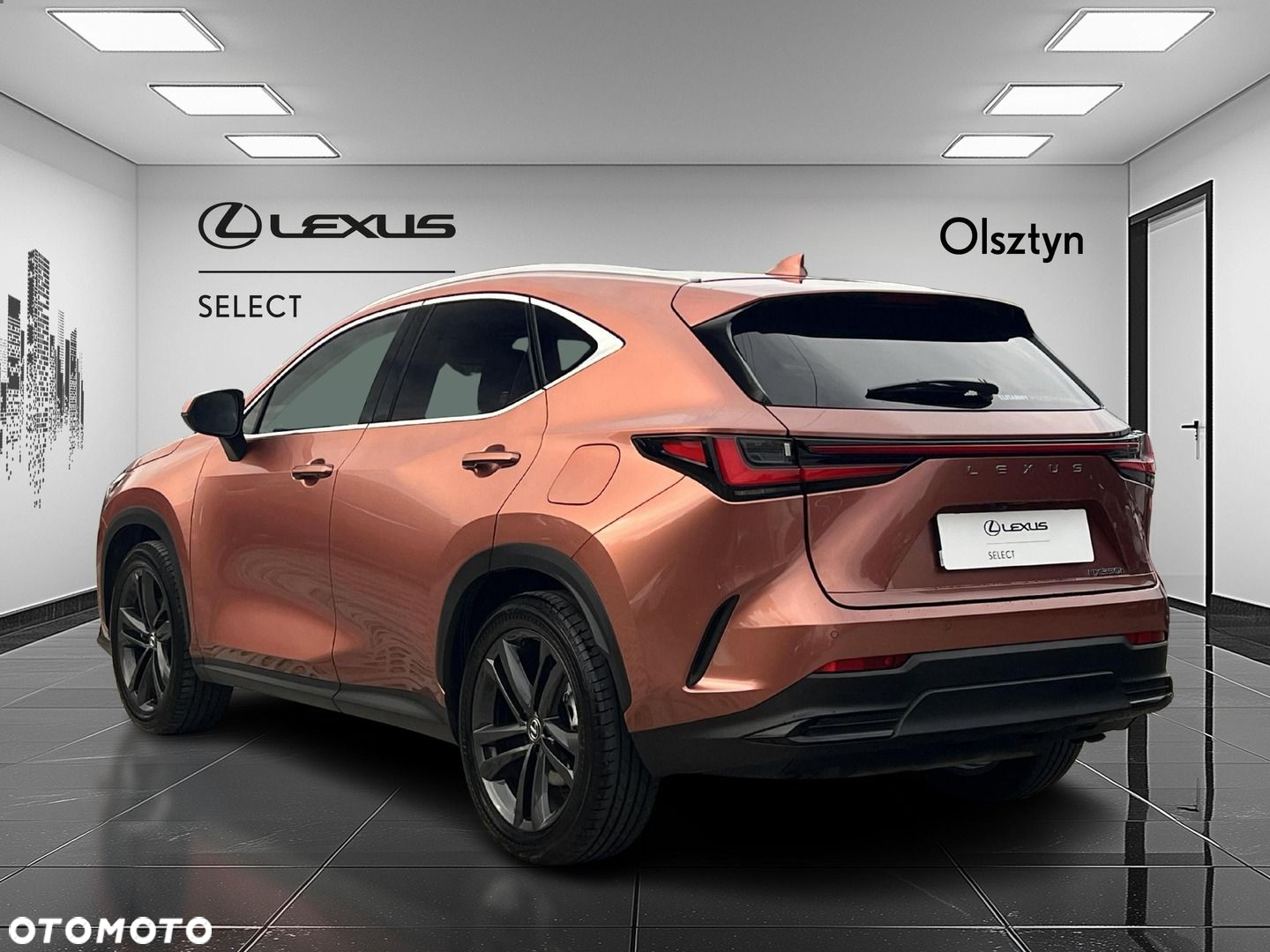 Lexus NX 350h Prestige AWD - 5