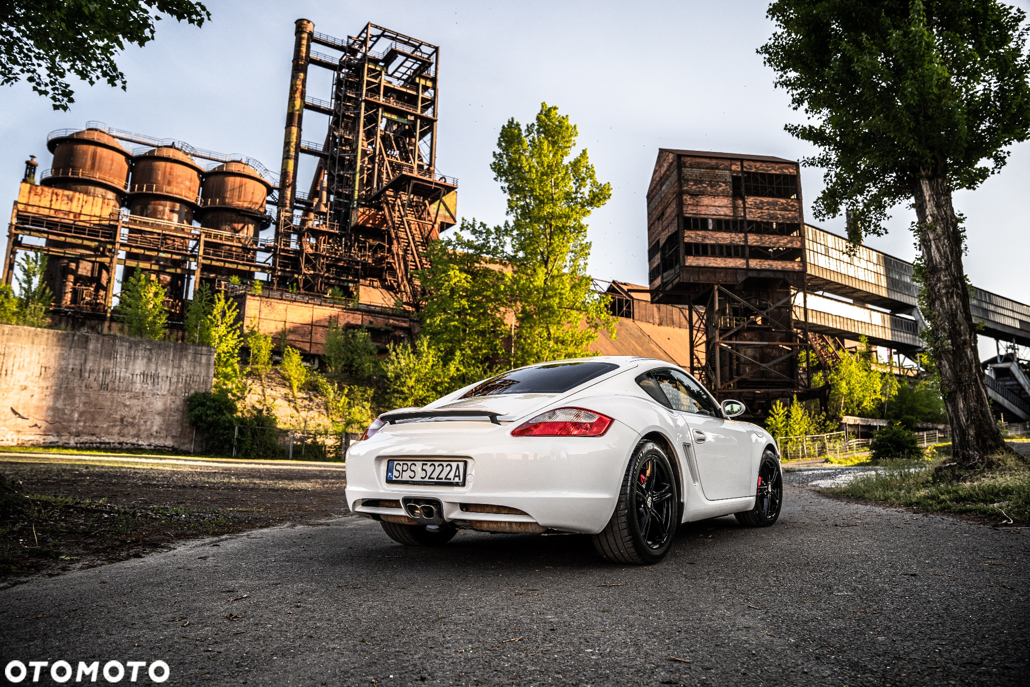 Porsche Cayman S Tiptronic S - 8
