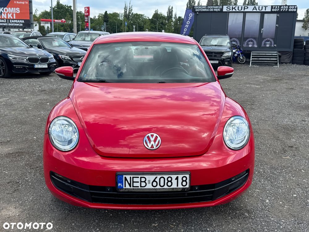 Volkswagen Beetle - 13