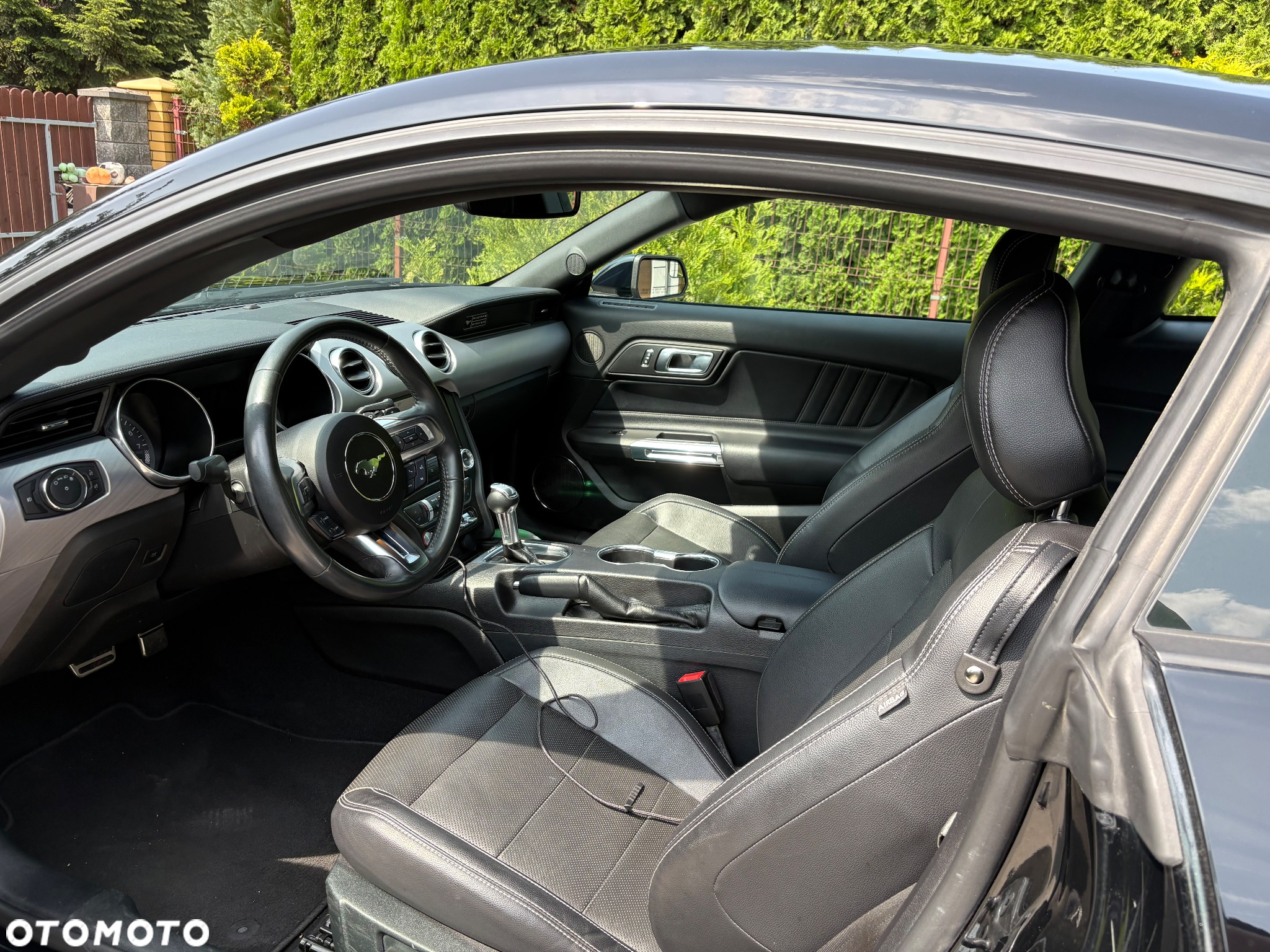 Ford Mustang Fastback 5.0 Ti-VCT V8 MACH1 - 15