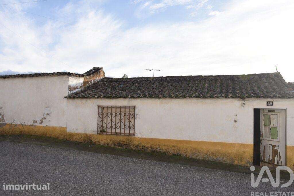 Moradia térrea T2 em Chamusca e Pinheiro Grande - Grande imagem: 5/40