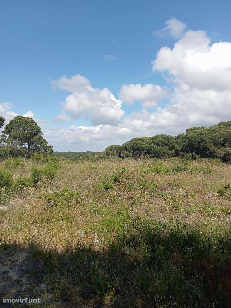 Terreno Rústico perto do Meco - Grande imagem: 2/7