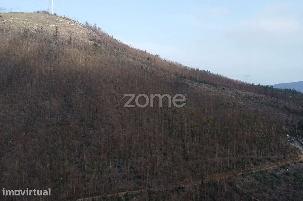 Terreno florestal urbanizável com 42.000 m2 - Rio Mau, Penafiel - Grande imagem: 5/12