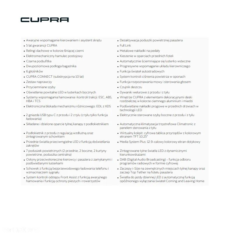 Cupra Formentor 2.0 TDI DSG - 11