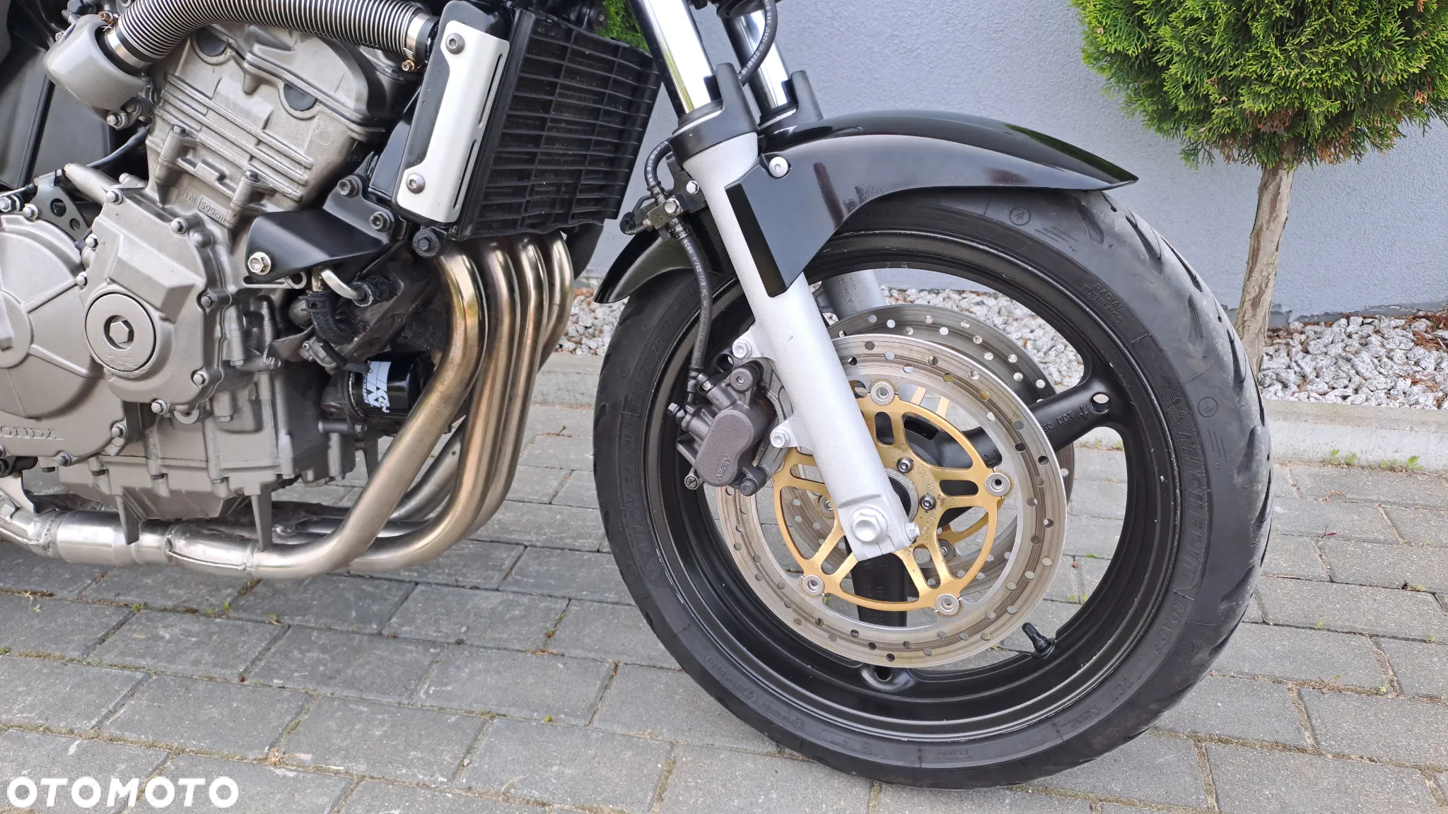Honda Hornet - 11