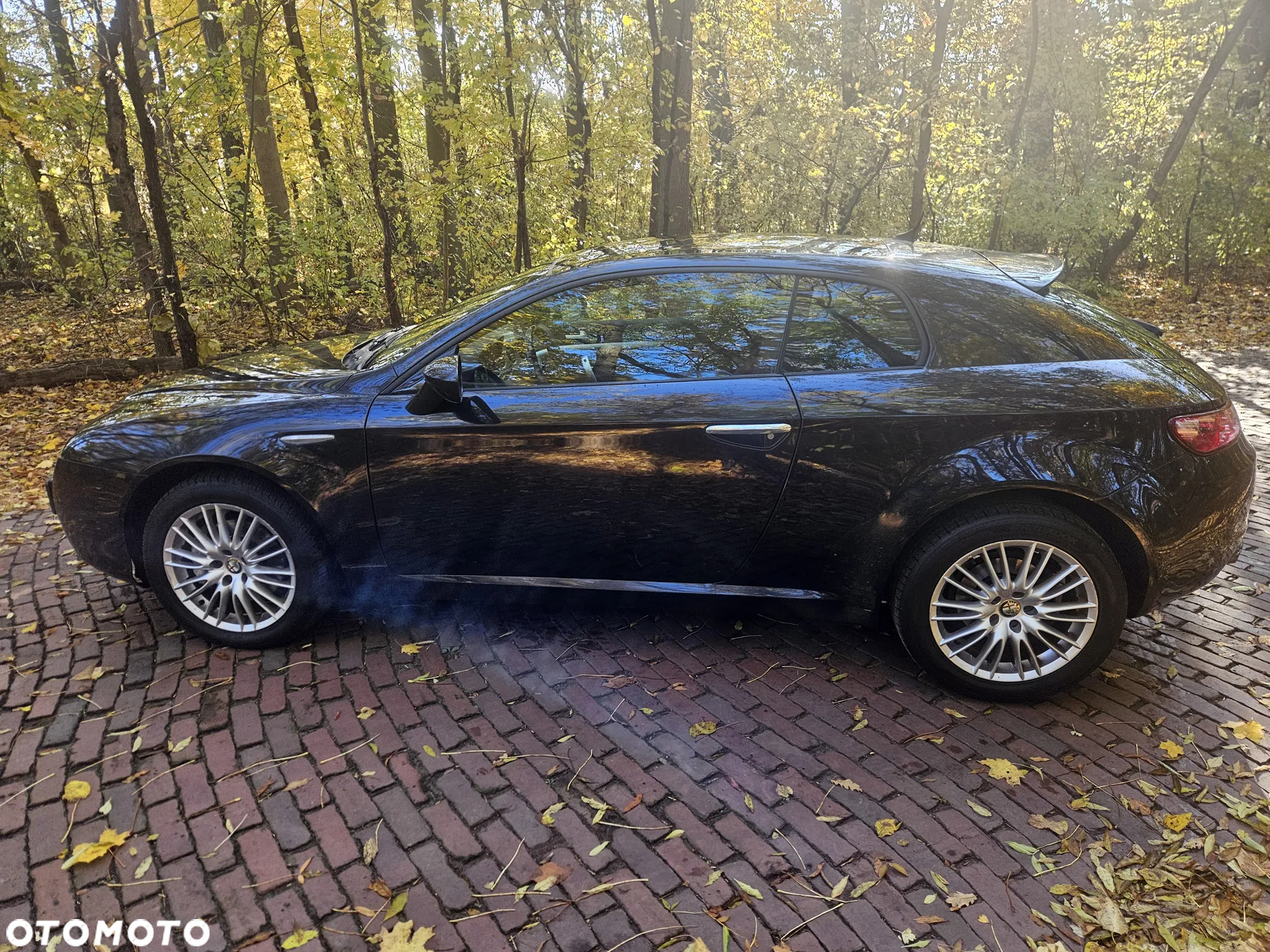 Alfa Romeo Brera 2.0JTDM - 6