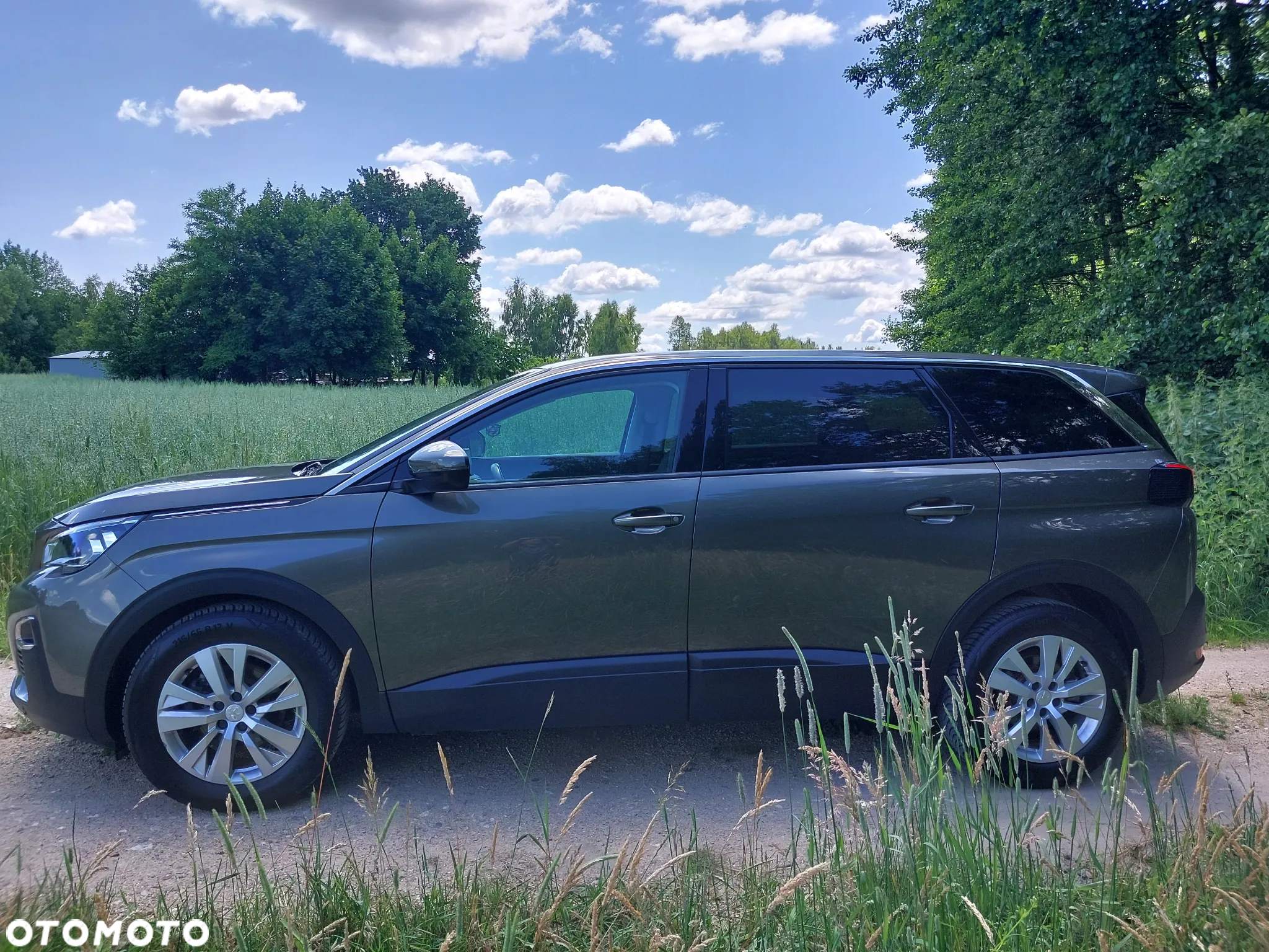 Peugeot 5008 - 4