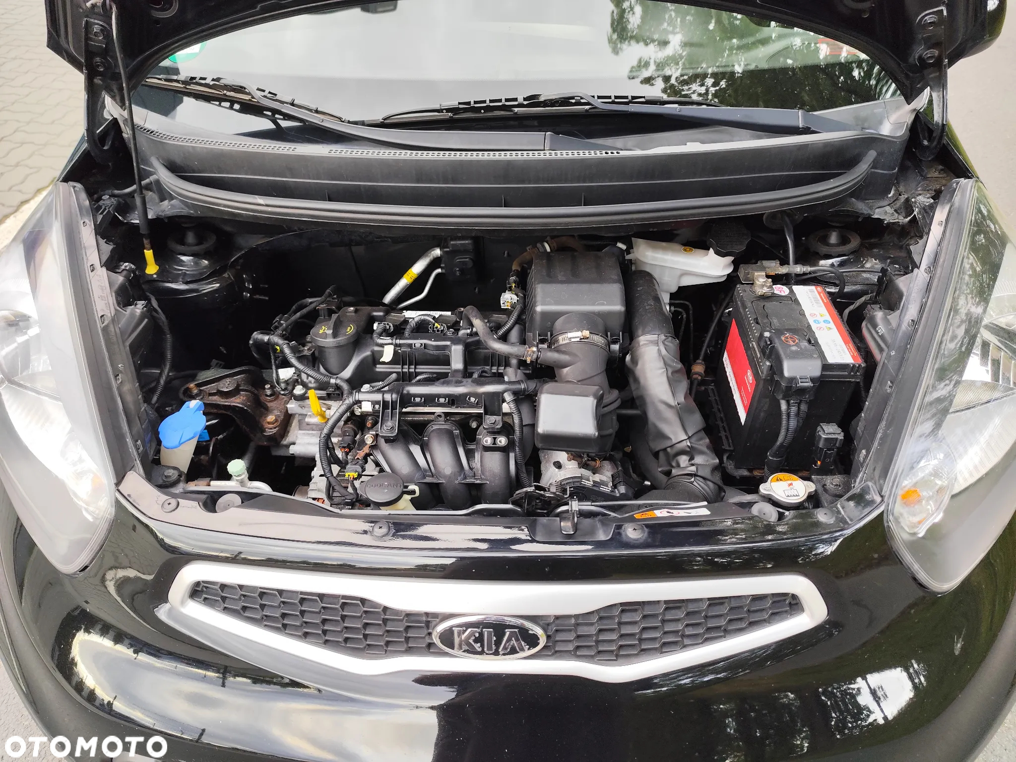 Kia Picanto 1.0 Business Line - 21