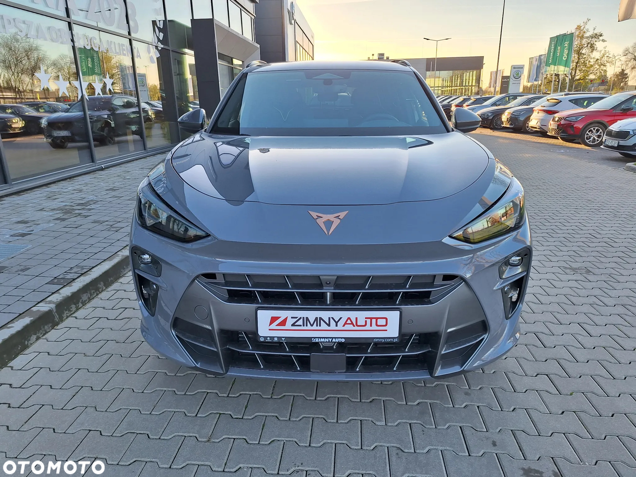 Cupra Terramar - 3