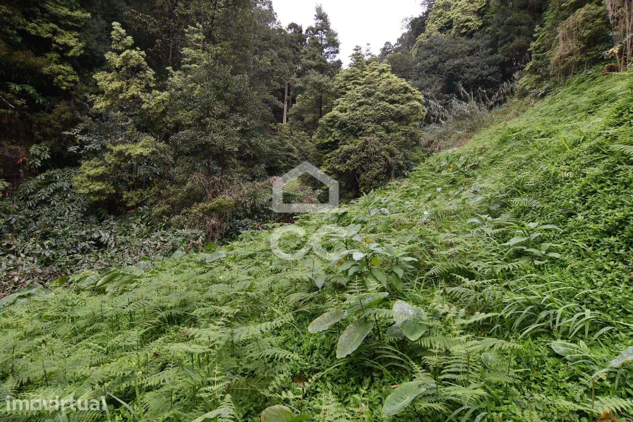 Terreno com 2500,00 m2 - Água de Pau - Lagoa - Grande imagem: 2/9