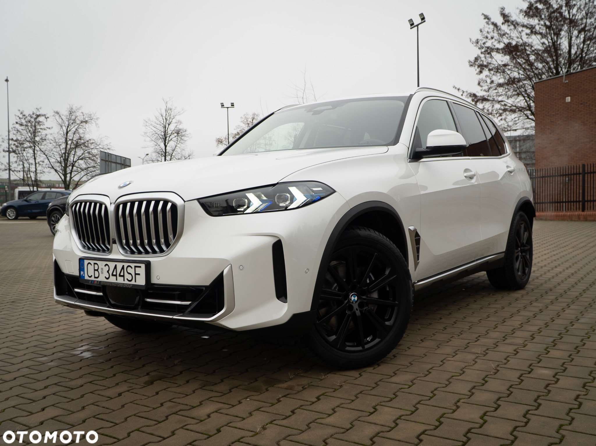 BMW X5 xDrive40d - 9