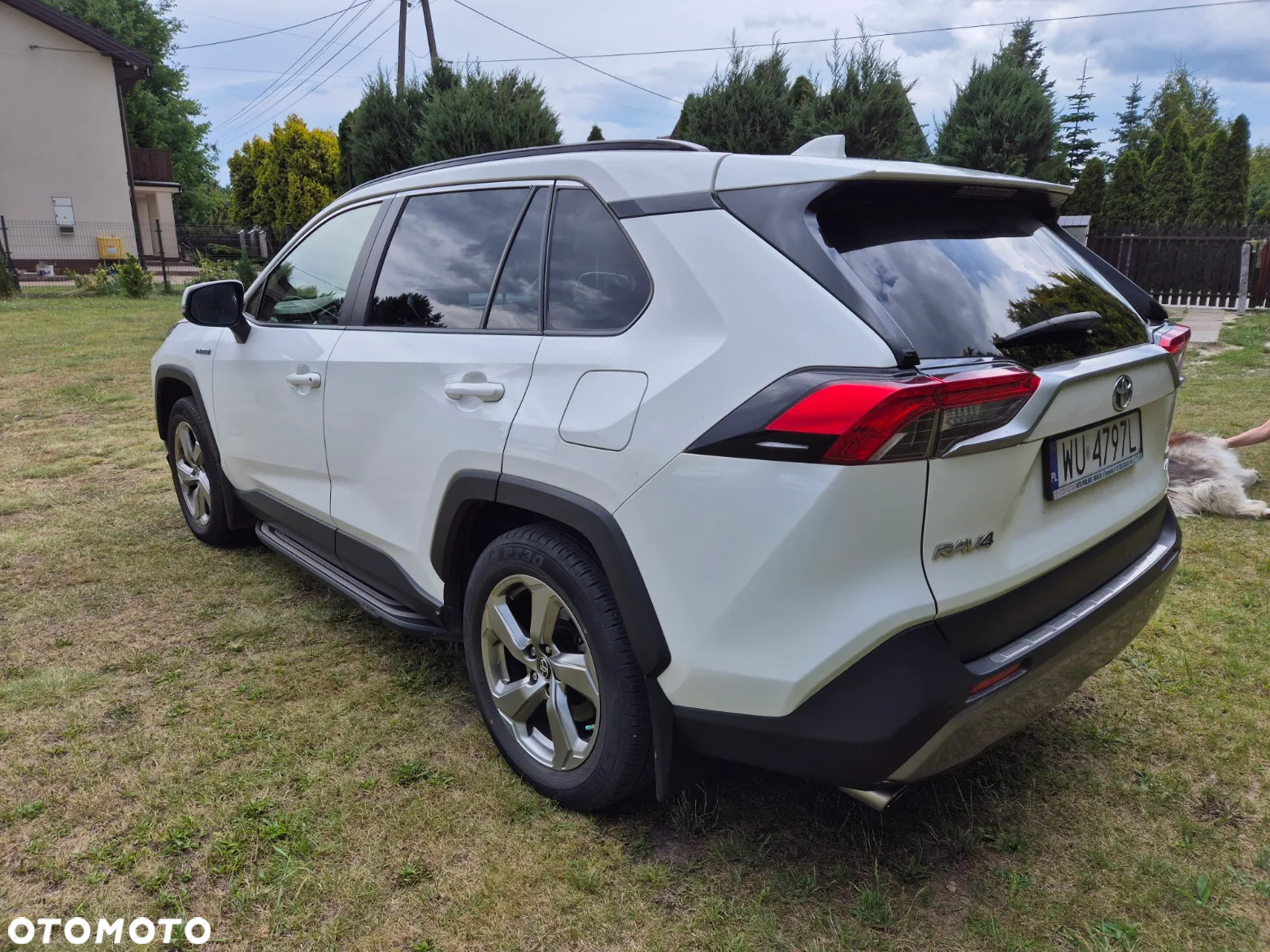 Toyota RAV4 2.5 4x4 Hybrid Comfort - 6