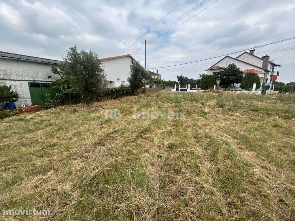 Terreno com ruína - Vila Nova de Paialvo, Tomar - Grande imagem: 2/19
