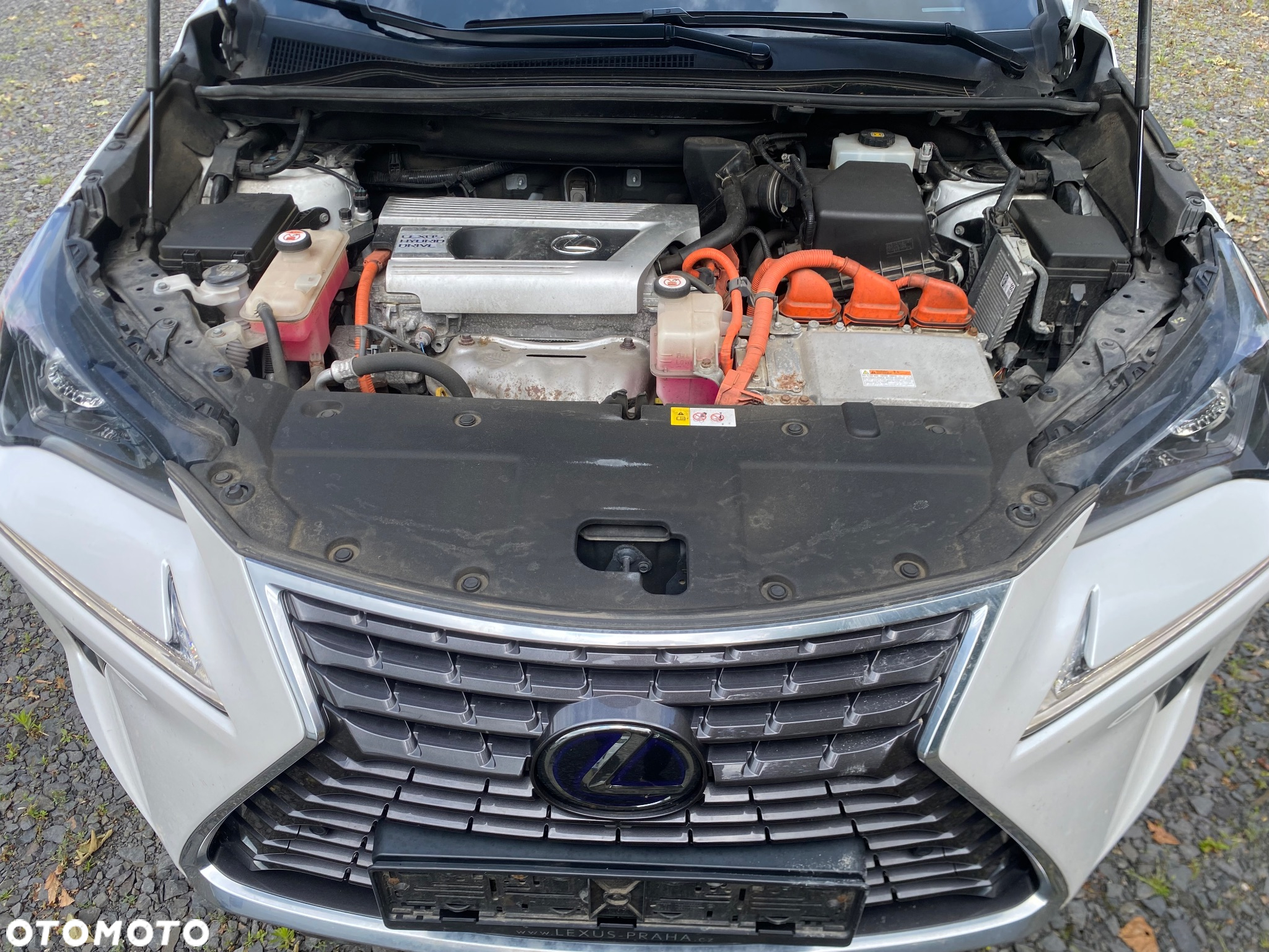 Lexus NX - 10