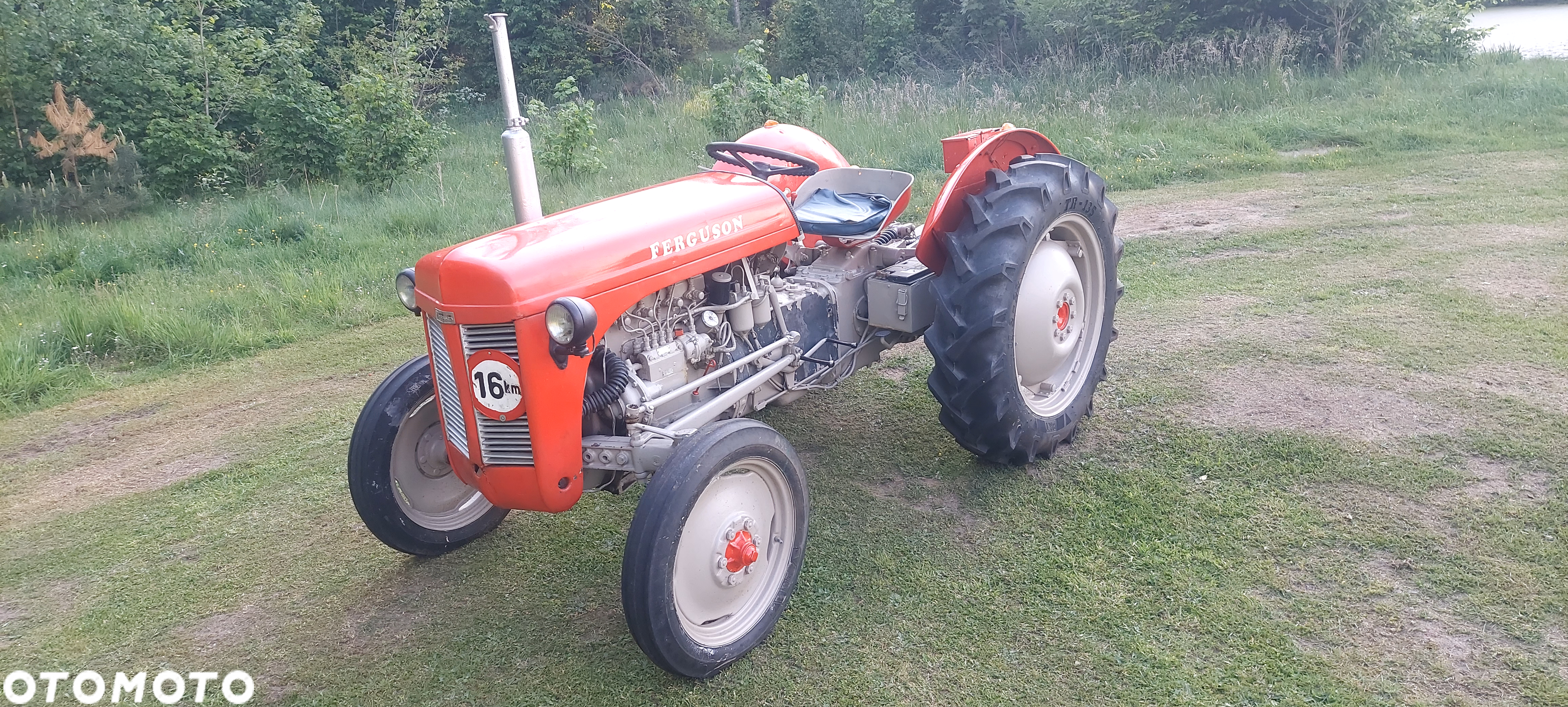Massey Ferguson TEF-20 - 5