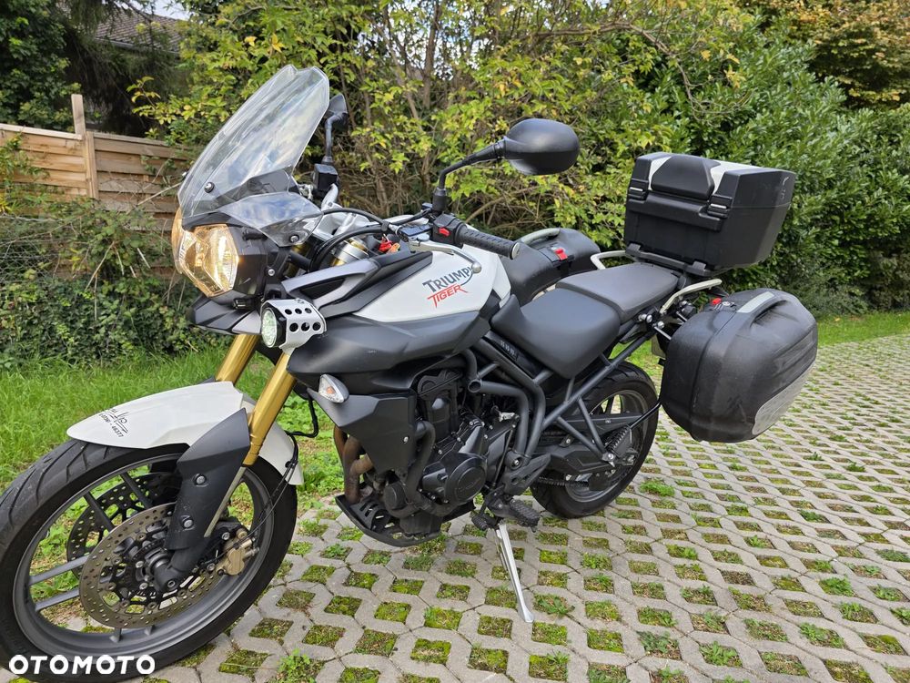 Triumph Tiger - 2