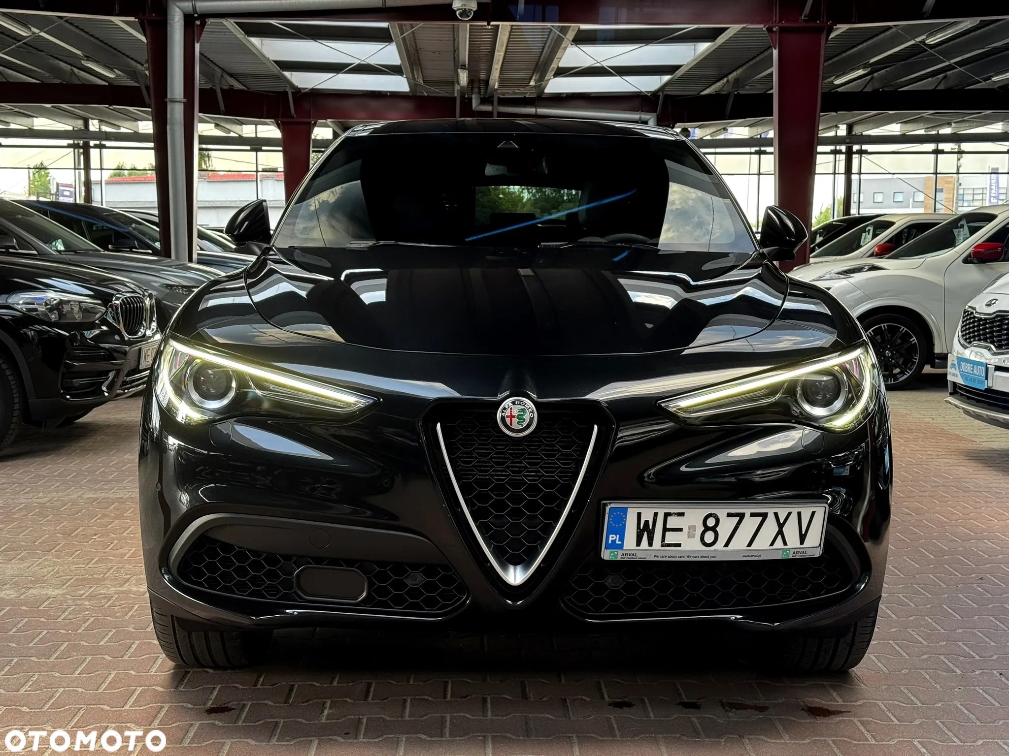 Alfa Romeo Stelvio 2.0 Turbo Executive Q4 - 2