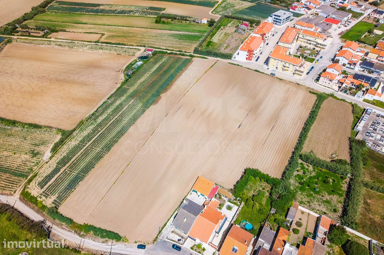Terreno para Construção em Atouguia da Baleia - Grande imagem: 3/13