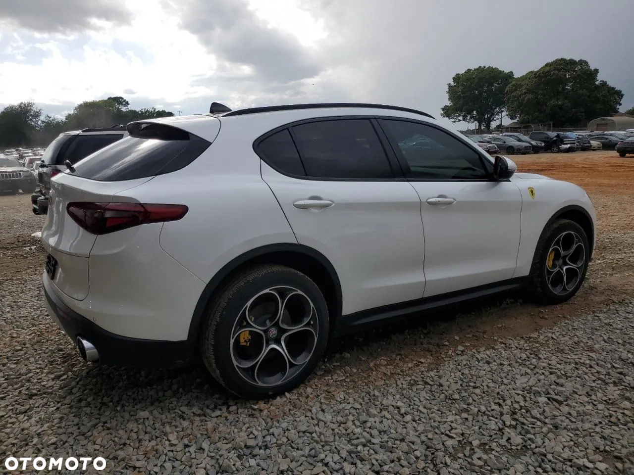 Alfa Romeo Stelvio 2.0 Turbo 6C Villa D'este Q4 - 3