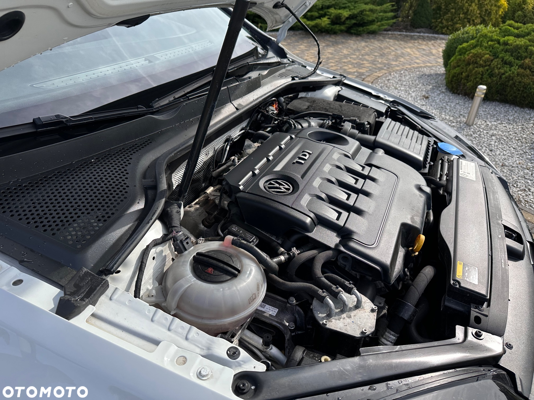 Volkswagen Golf - 24