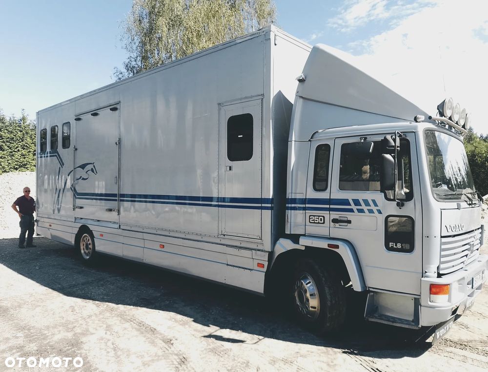 Volvo FL6 250 Koniowóz - 4