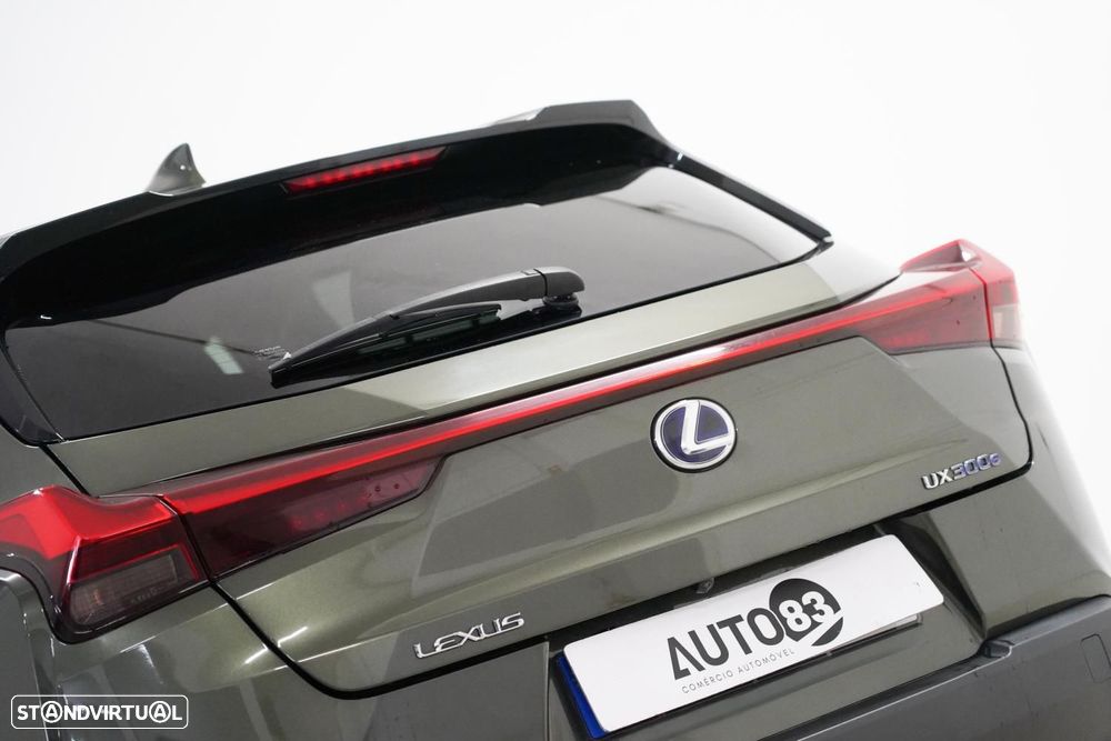 Lexus UX 300e Luxury - 20