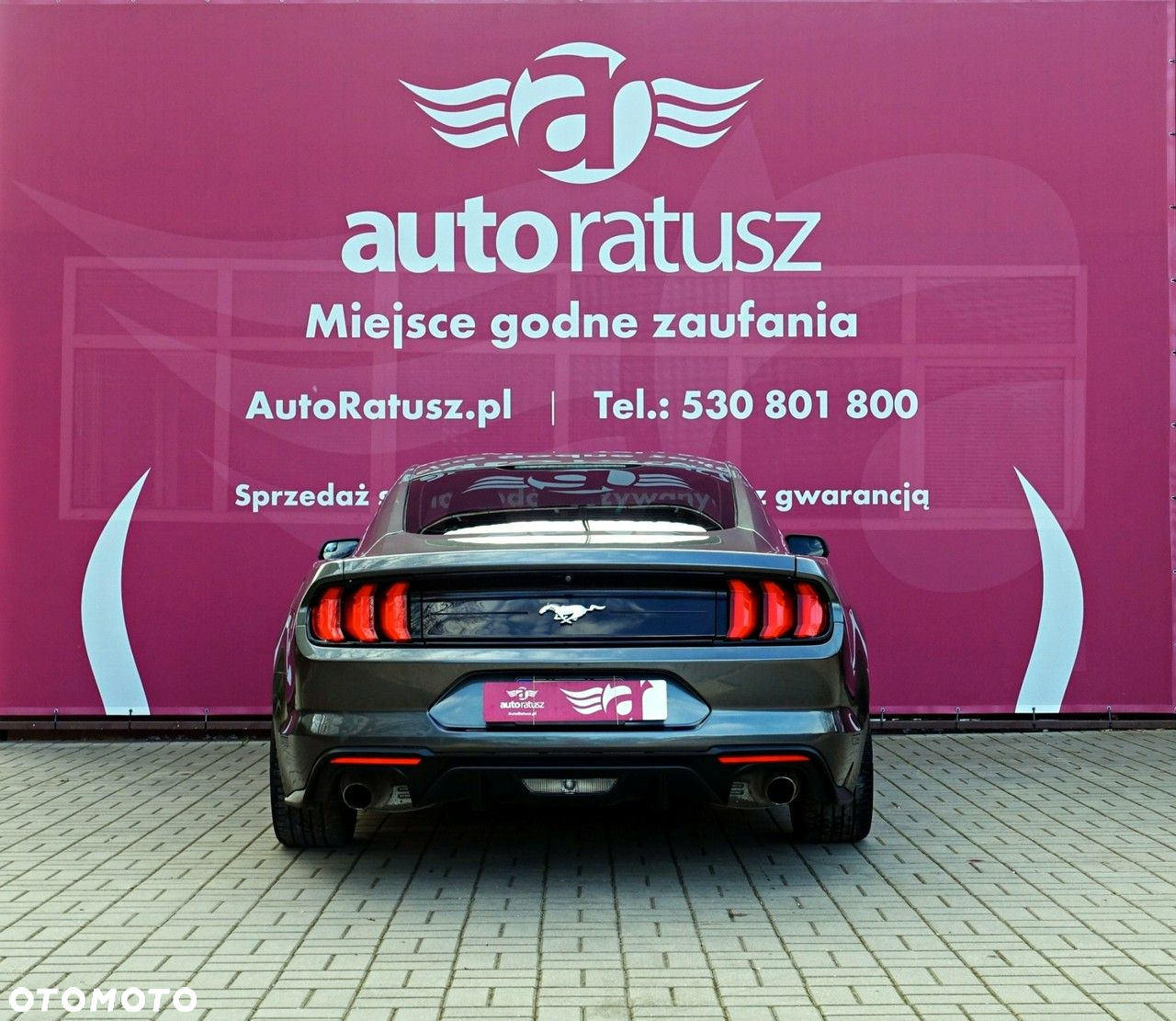 Ford Mustang - 5
