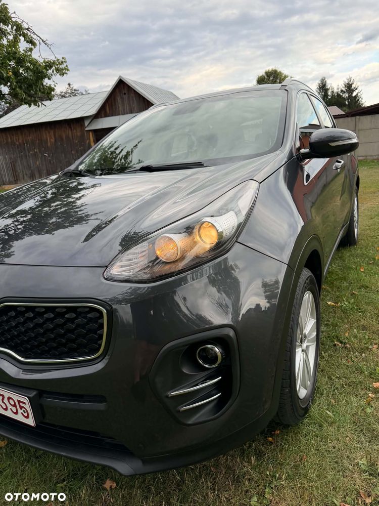 Kia Sportage 1.6 GDI Business Line 2WD - 19