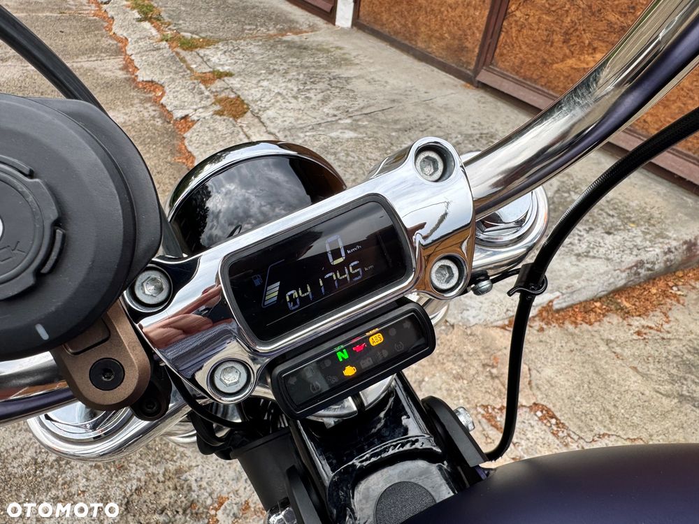 Harley-Davidson Softail Standard - 11