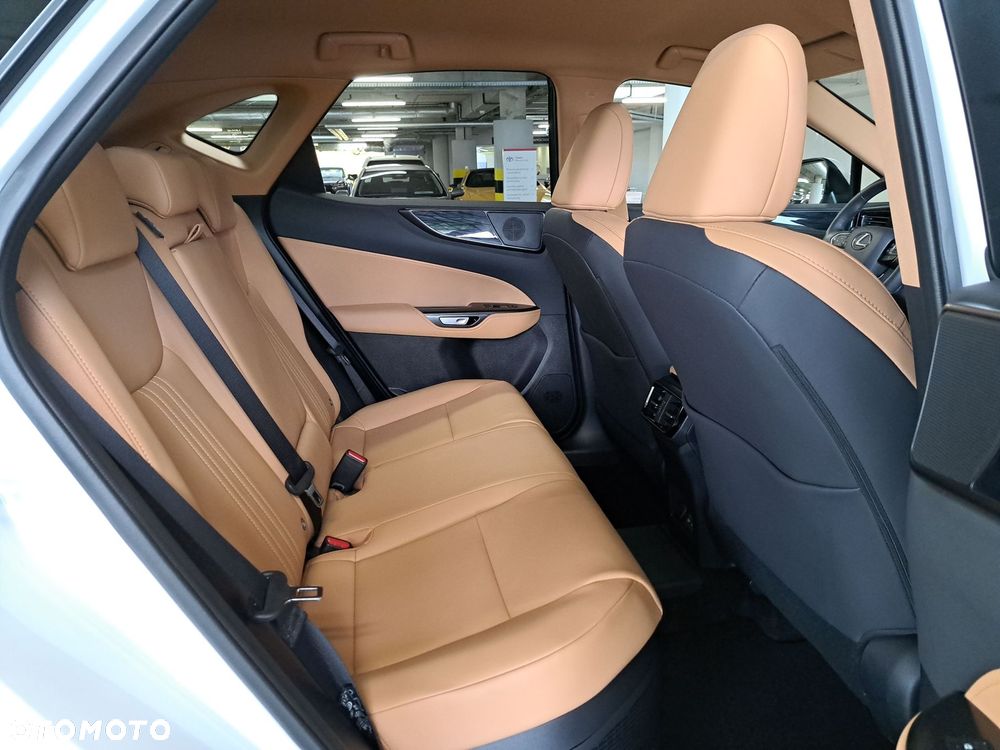 Lexus NX - 15