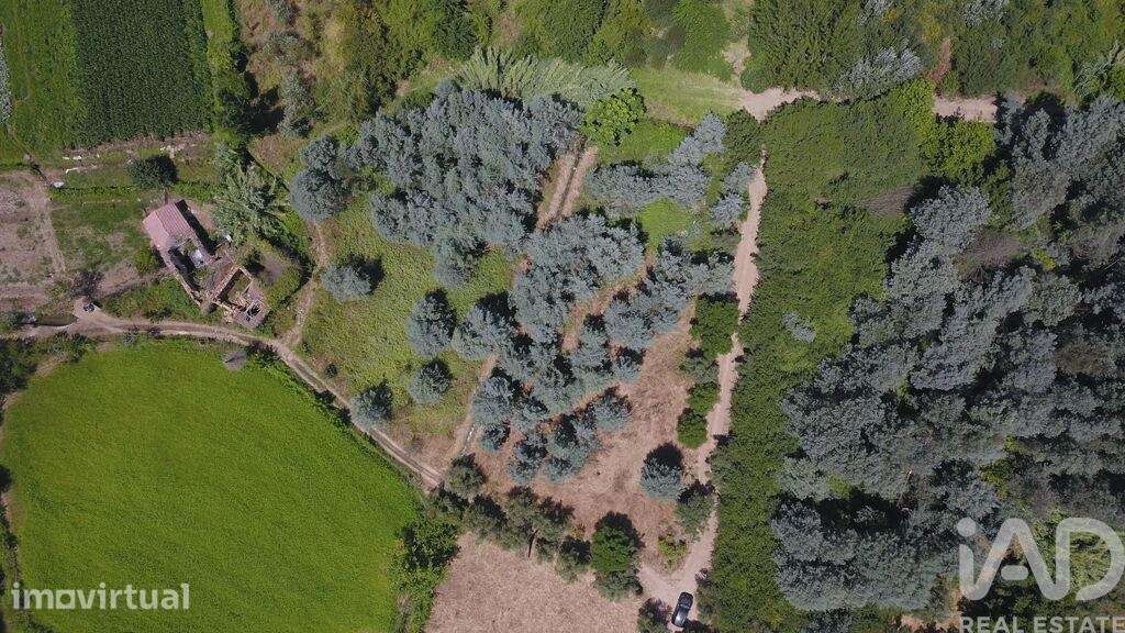 Casa de Campo em Serpins de 49 m2 - Grande imagem: 4/17